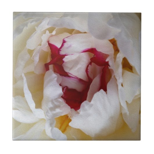 牡丹花びら タイル (正面)