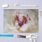 牡丹花びら 薄葉紙 (クラフト)