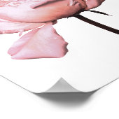 牡丹花フローラポスター ポスター (角)