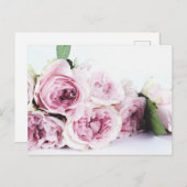 牡丹花葉書 ポストカード (正面/裏面)