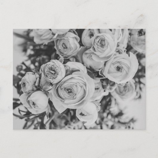 牡丹花葉書 ポストカード (正面)