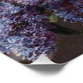 牡丹薄紫花籠ファインアートクラシックガーデン ポスター (コーナー)