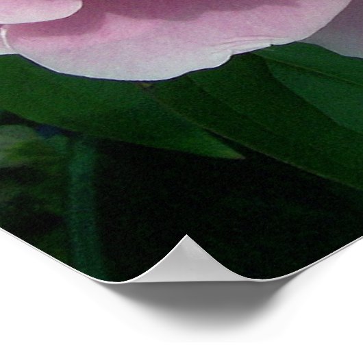 牡丹2ポスター ポスター (角)