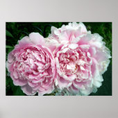 牡丹2ポスター ポスター (正面)