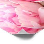 牡丹2枚のピンクのカードのプレゼント ポスター (角)