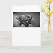 牡丹 カード (黄色い花)