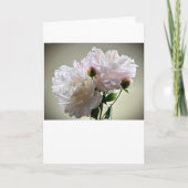 牡丹、カード カード (正面)