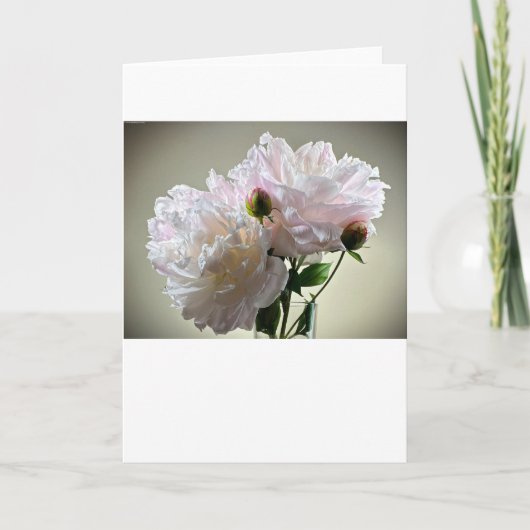 牡丹、カード カード (正面)