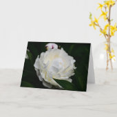 牡丹、カード カード (黄色い花)