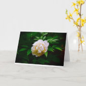 牡丹、カード カード (黄色い花)