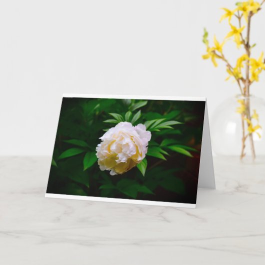 牡丹、カード カード (黄色い花)