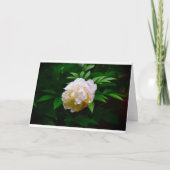 牡丹、カード カード (正面)