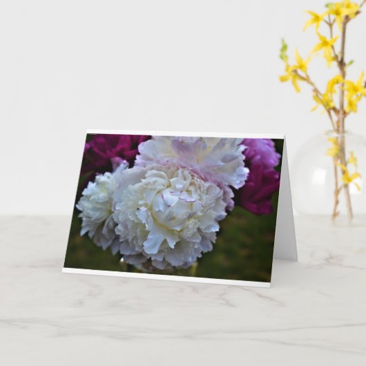 牡丹、カード カード (黄色い花)