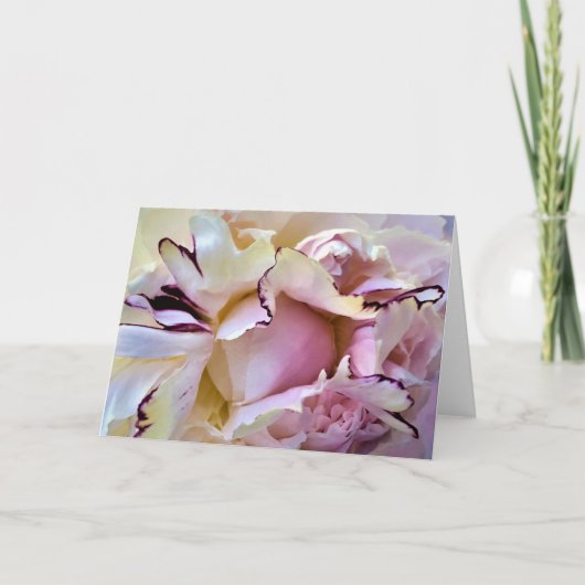 牡丹、カード カード (正面)