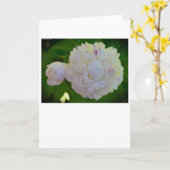 牡丹、カード カード (黄色い花)