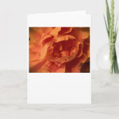 牡丹、カード カード (正面)