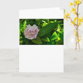 牡丹、カード カード (黄色い花)