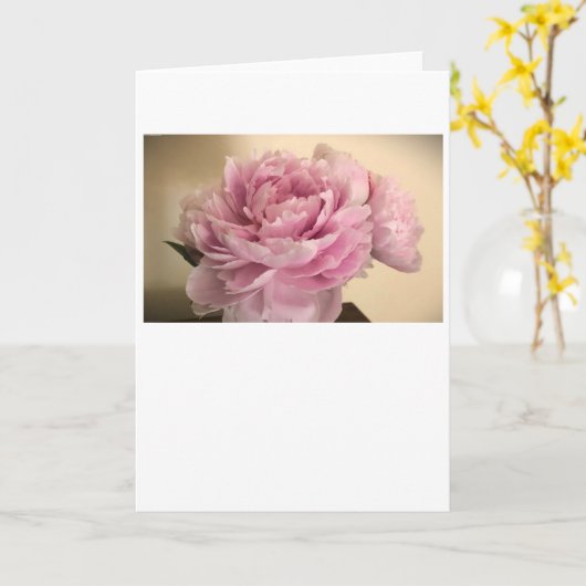 牡丹、カード カード (黄色い花)