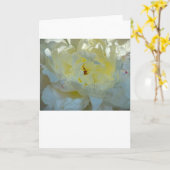 牡丹、カード カード (黄色い花)