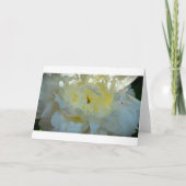 牡丹、カード カード (正面)