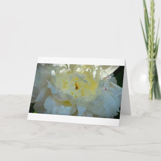 牡丹、カード カード (正面)