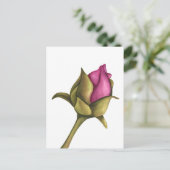 牡丹 シーズンポストカード (スタンド正面)