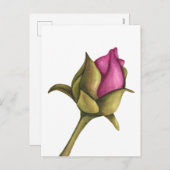 牡丹 シーズンポストカード (正面/裏面)