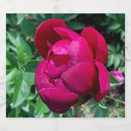 牡丹 ビールラベル (シングルラベル)