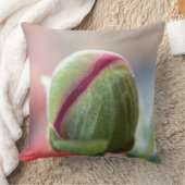 牡丹/フィングストロセンの芽 クッション (ブランケット)