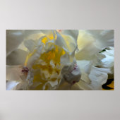 牡丹 ポスター (正面)