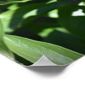 牡丹 ポスター (角)