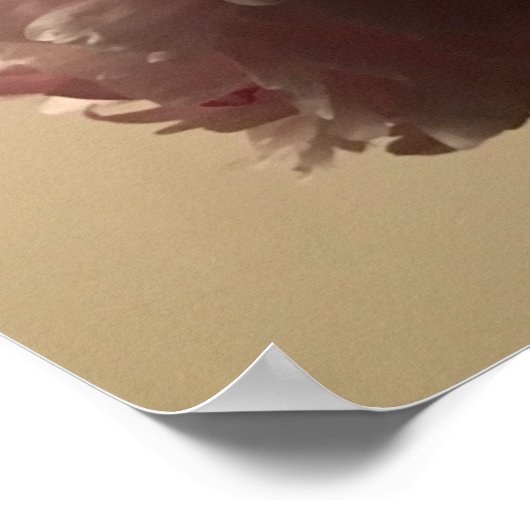 牡丹 ポスター (角)