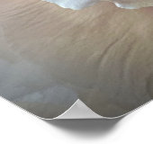 牡丹 ポスター (角)