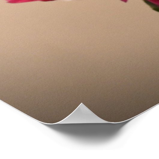 牡丹 ポスター (角)