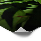 牡丹 ポスター (角)