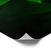 牡丹 ポスター (角)