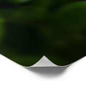 牡丹 ポスター (角)