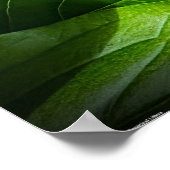 牡丹 ポスター (角)