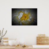 牡丹 ポスター (キッチン)