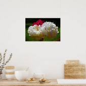 牡丹 ポスター (キッチン)