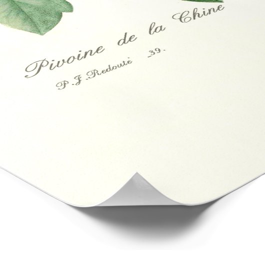 牡丹 ポスター (角)