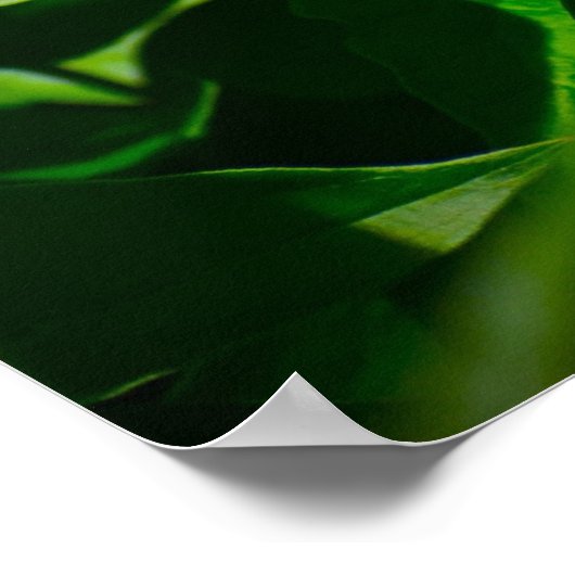 牡丹 ポスター (角)