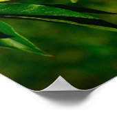 牡丹 ポスター (角)