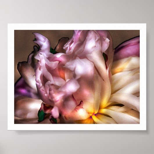 牡丹 ポスター (正面)