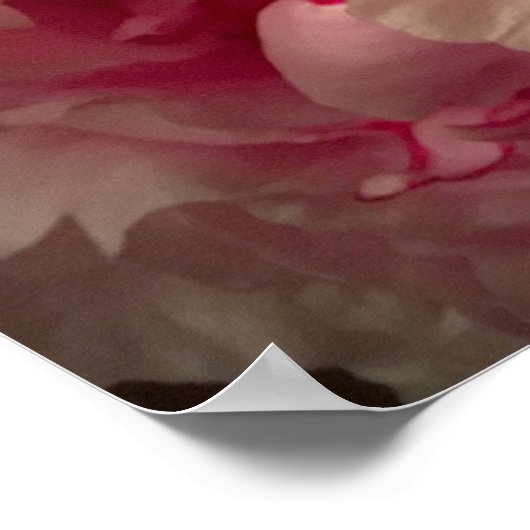 牡丹 ポスター (角)