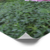 牡丹 ポスター (角)