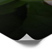 牡丹 ポスター (角)