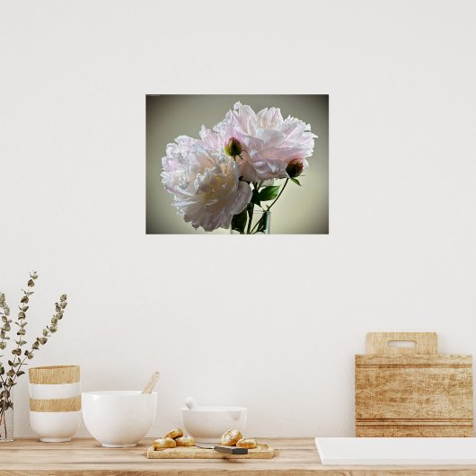 牡丹 ポスター (キッチン)