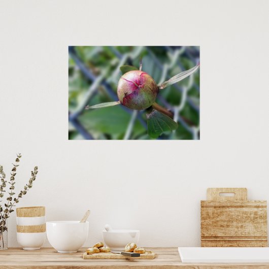 牡丹 ポスター (キッチン)