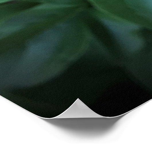 牡丹 ポスター (角)